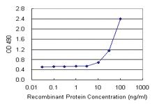 Anti-ANXA4 Polyclonal Antibody Pair