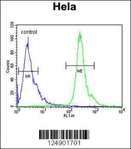 Anti-PNPLA8 Rabbit Polyclonal Antibody (FITC (Fluorescein Isothiocyanate))