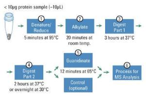 Pierce™ In-solution Tryptic Digestion and Guanidination Kit