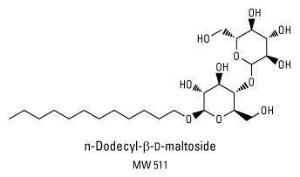 n-Dodecyl-β-D-maltoside