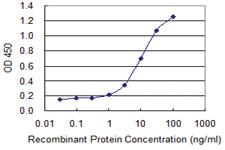 Anti-CACNA2D2 Mouse Monoclonal Antibody [clone: 3A4]