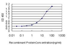 Anti-KCNMB3 Mouse Monoclonal Antibody [clone: 5H1]