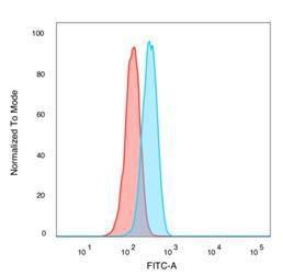 Antibody A249641-100 100 µg