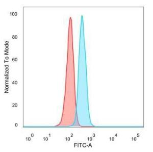 Flow cytometric analysis of PFA-fixed HeLa cells using Anti-ECD Antibody [PCRP-ECD-1D10] followed by Goat Anti-Mouse IgG (CF&#174; 488) (Blue). Unstained cells (Red)