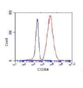 Anti-COX IV Mouse Monoclonal Antibody [clone: 13k36]