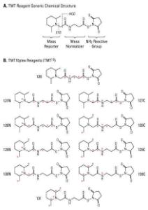 Isobaric Mass Tag Labelling Kit and Reagent Sets, TMT10plex™