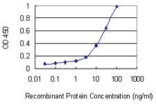 Anti-MST1 Mouse Monoclonal Antibody [clone: 3B5]