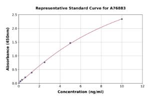 Representative standard curve for Human CG Receptor/LHR ELISA kit (A76883)