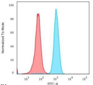 Flow cytometric analysis of PFA fixed HeLa cells using Anti-Cytochrome C Antibody [6H2B4] followed by Goat Anti-Mouse IgG (CF&#174; 488) (Blue) Isotype Control (Red)