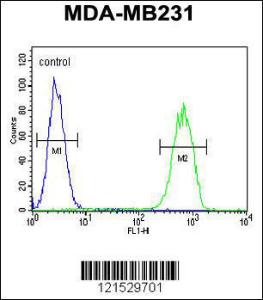 Anti-GPA33 Rabbit Polyclonal Antibody