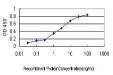 Anti-GCSH Mouse Monoclonal Antibody [clone: M2]