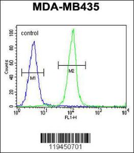 Anti-IGKV A18 Rabbit Polyclonal Antibody (APC (Allophycocyanin))