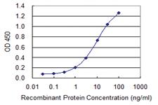 Anti-CACNA2D2 Mouse Monoclonal Antibody [clone: 4E3]