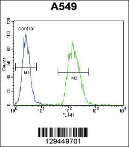 Anti-ZSWIM1 Rabbit Polyclonal Antibody