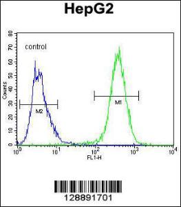 Anti-UBFD1 Rabbit Polyclonal Antibody (FITC (Fluorescein Isothiocyanate))