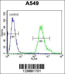 Anti-SOWAHD Rabbit Polyclonal Antibody (APC (Allophycocyanin))