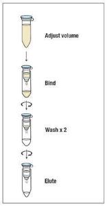 FERMK0832 - KIT GENEJET DNA CLEANUP 250 PREP.