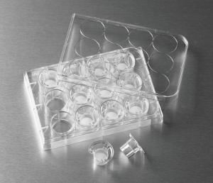 Corning® Permeable Supports, Polycarbonate (PC) Membrane, Corning