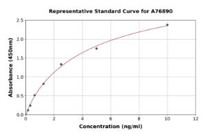 Representative standard curve for Human Lamin B1 ELISA kit (A76890)