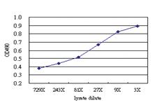 Anti-CHML Antibody Pair