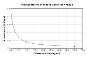 Representative standard curve for Human LMX1b ELISA kit (A76892)