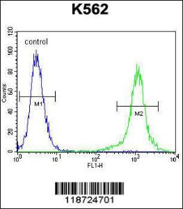 Anti-HBB Rabbit Polyclonal Antibody (Biotin)