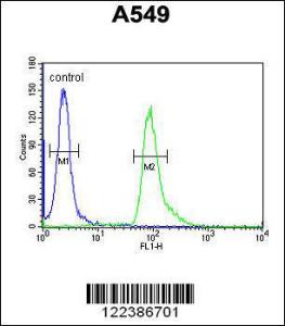 Anti-ABHD12 Rabbit Polyclonal Antibody (FITC (Fluorescein Isothiocyanate))