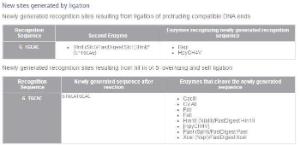 FERMER0041 - ENZYME ALW44I (APALI) 1000 UNITS