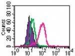 Anti-TLR9 Mouse Monoclonal Antibody (PE (Phycoerythrin)) [clone: 26C593.2]