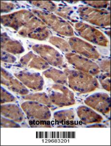 Anti-PODNL1 Rabbit Polyclonal Antibody (Biotin)