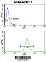 Anti-SKIV2L2 Rabbit Polyclonal Antibody (APC (Allophycocyanin))