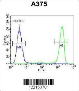 Anti-ITPA Rabbit Polyclonal Antibody