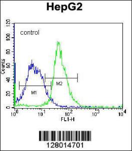 Anti-MAP1LC3B Rabbit Polyclonal Antibody (Biotin)