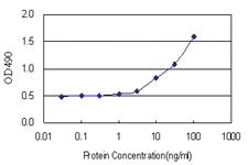 Anti-MAPKAPK5 Polyclonal Antibody Pair