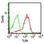 Anti-TLR9 Mouse Monoclonal Antibody [clone: 26C593.2]