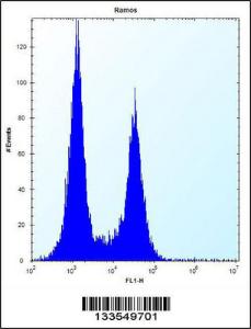 Anti-UBN2 Rabbit Polyclonal Antibody