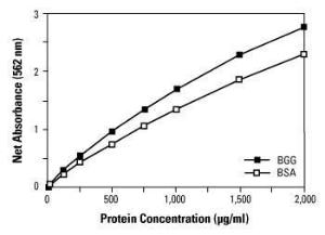 BCA™ protein assay kits and reagents