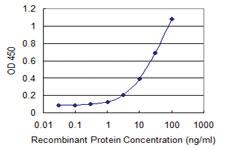 Anti-MBIP Mouse Monoclonal Antibody [clone: 2E2]