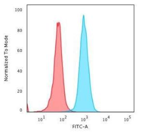 Anti-beta 2 Microglobulin antibody