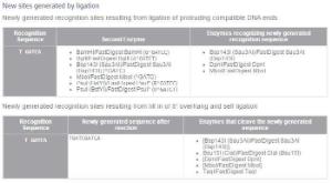 FERMER0725 - ENZYME BCLI 3000 UNITS