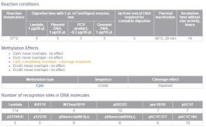 FERMFD0064 - ENZYME FD BCNI 200µL (200RXN)