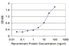 Anti-GIF Mouse Monoclonal Antibody [clone: 1D9]