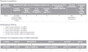 SpeI, FastDigest™, fermentas