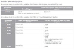 FERMER1162 - ENZYME BFMI 1000 UNITS