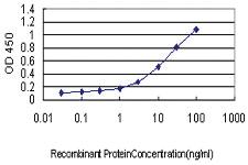 Anti-GJB3 Mouse Monoclonal Antibody [clone: 3B4-1B3]