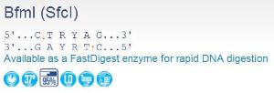 FERMER1162 - ENZYME BFMI 1000 UNITS