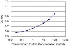 Anti-NME2 Mouse Monoclonal Antibody [clone: 1D3]