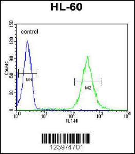 Anti-GDA Rabbit Polyclonal Antibody (HRP (Horseradish Peroxidase))