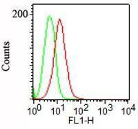 Flow cytometric analysis of NCCIT cells using Anti-Podocalyxin Antibody [3D3