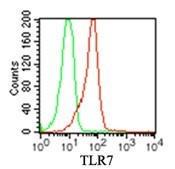 Anti-TLR7 Mouse Monoclonal Antibody [clone: 4G6]